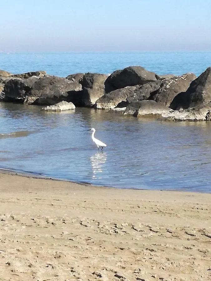 Apartament A Casa Minerva Rimini 0*,  Włochy